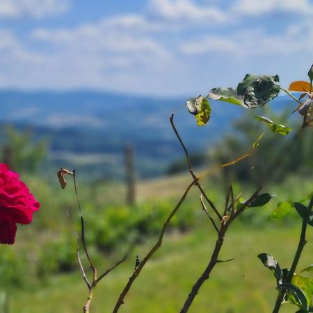 Appartamento Il Nido Volterra Exterior photo
