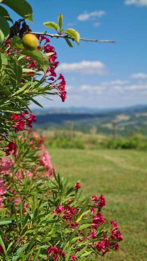 Appartamento Il Nido Volterra Exterior photo